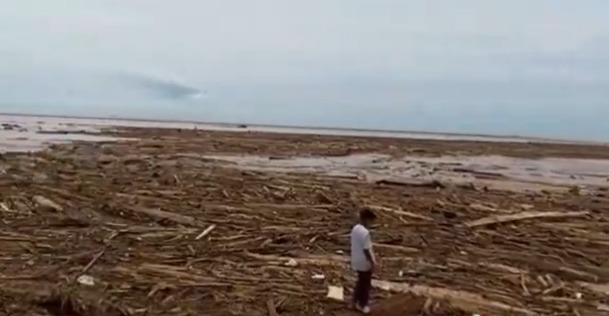 Toba Pulp Bantah Jadi Biang Kerok Banjir Sumatra, Ini Penjelasannya